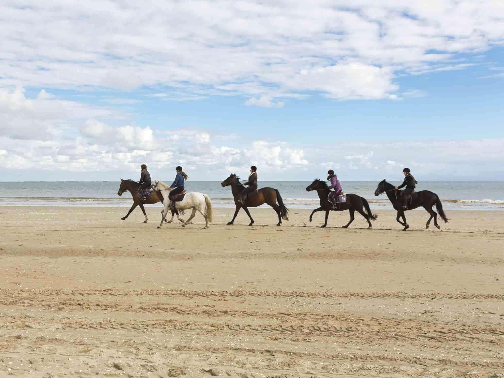 Barriere Le Royal 5*